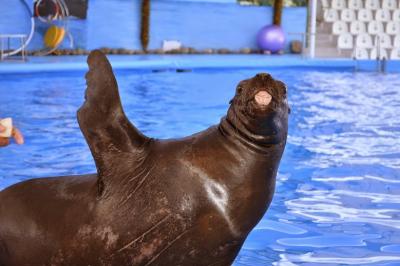 Прикрепленное изображение: хай.JPG